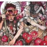 BARONESS - RED ALBUM