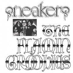 THE FLAMIN GROOVIES.- SNEAKERS
