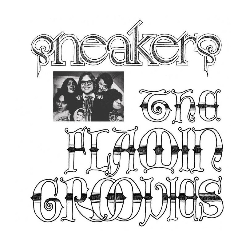 THE FLAMIN GROOVIES.- SNEAKERS