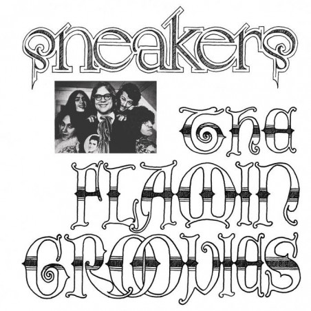 THE FLAMIN GROOVIES.- SNEAKERS