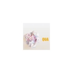 CLUSTER-QUA