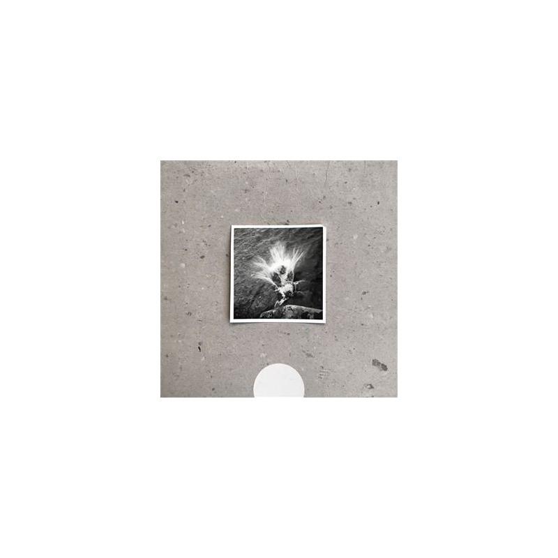 NILS FRAHM- EMPTY
